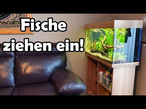 Der 2. Monat des Juwel Rio 125 (#110)