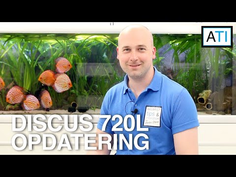 Discus 720 liter akvarie og sump – opdatering maj 2022