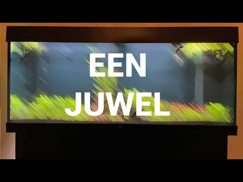 Dit aquarium kreeg ik toegestuurd! Een Juwel Rio 450