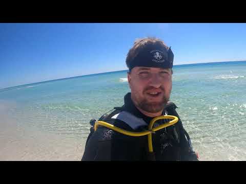 Diving Pensacola's Park East Snorkel Reef (Octopus Sighting!)