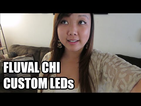 DIY: How to Install Custom LED Lights on Fluval Chi Aquarium