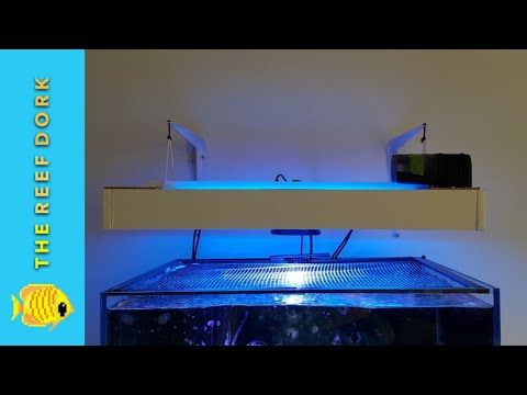 DIY LED/T5 Hybrid With Kessil – Beautiful Light Colour, Spectacular Growth.