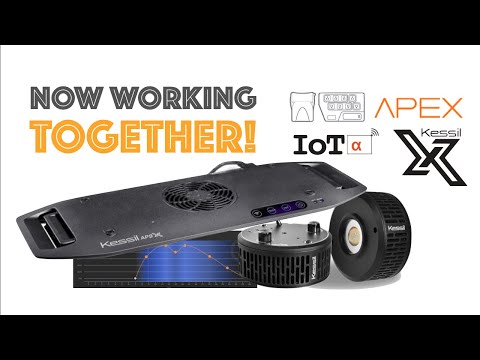 Do APEX and KESSIL work together? See how they work together inside the Apex ecosystem using IOTA
