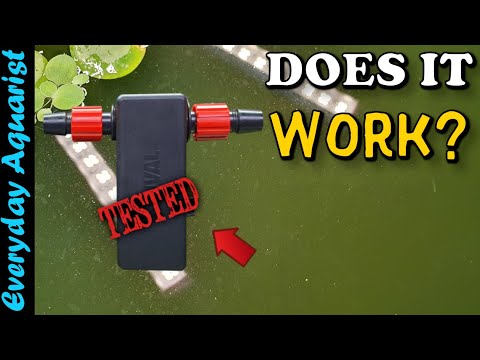 DOES IT WORK? Fluval UVC In-Line Aquarium Clarifier | GREEN WATER TEST