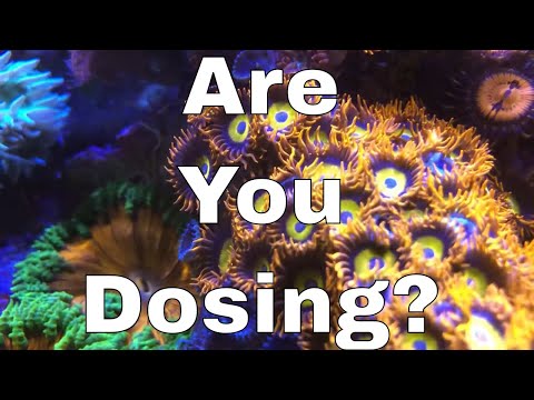 Dosing Calcium, Alkalinity & Magnesium in a Saltwater aquarium | Red Sea Reefer XL 425 Build