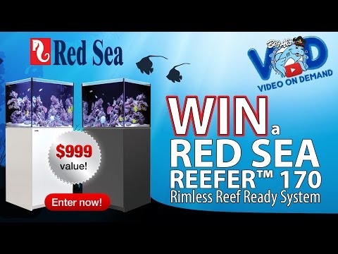 DRAWING WINNER TODAY | WIN A RED SEA REEFER™ 170! | Big Al's