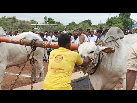 పగడాలపల్లి సీనియర్ జత 5