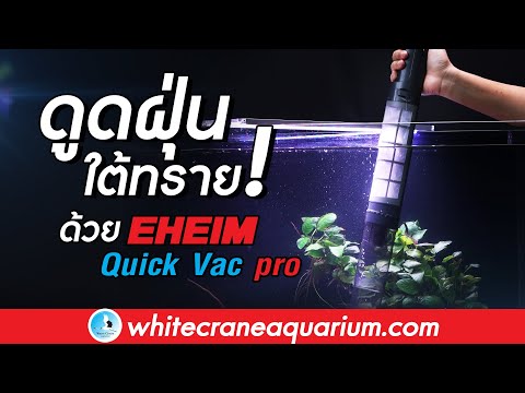 ทำความสะอาดพื้นตู้ปลาง่ายๆ ด้วย “EHEIM Quick Vac Pro "| เครื่องดูดฝุ่นใต้ทรายด้วยระบบอัตโนมัติ