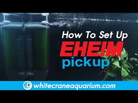 เครื่องกรองภายในตู้ | EHEIM Pick Up วิธีใช้ง่ายมากๆ