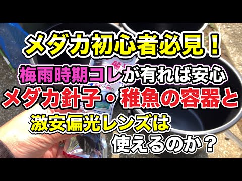 【メダカ初心者】メダカ初心者必見！梅雨時期コレが有れば安心　メダカ針子・稚魚の容器と、激安偏光レンズは使えるのか？