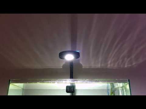 ストック水槽とKessil A80 Tuna Sun
