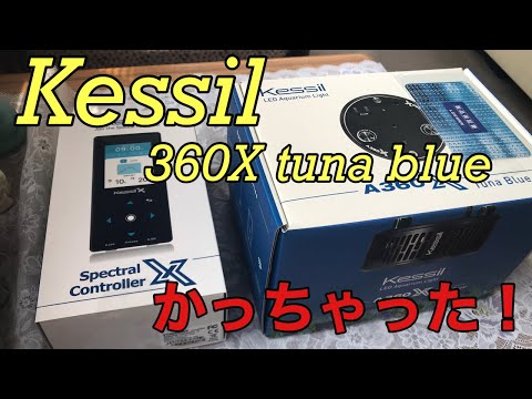 (海水魚水槽）LPS水槽立ち上げVol.5　Kessil　３６０X tuna blue 購入！キャノピー作成！