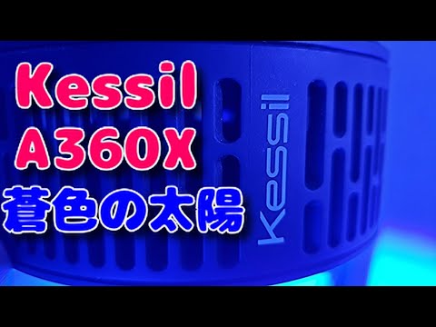照明変更 Kessil A360X