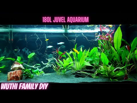 Easy and Cheap setup 180L Juwel Aquarium