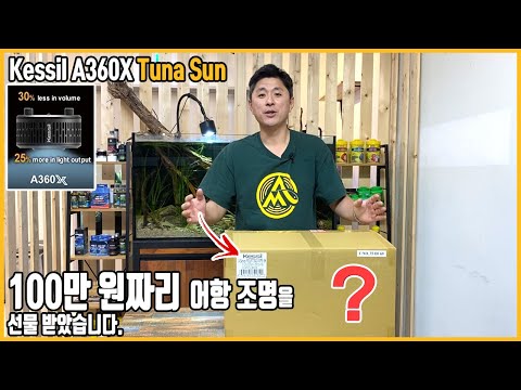 신형 케실조명 360X는 구형과 얼마나 달라졌을까요? Kessil A360X unboxing [애니몰로TV]