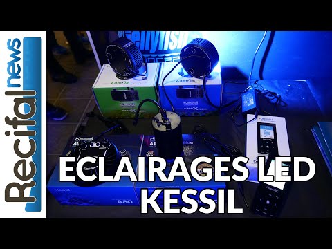 Eclairages LED Kessil pour aquariums récifaux – par Tunze