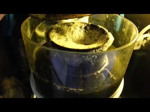 Écumeur Bubble magus nac 7