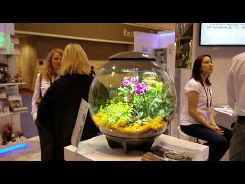 Eddie's BiOrb aquariums at Global Pet Expo