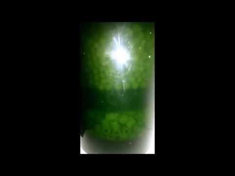 Eheim 2213 Filter Media Config
