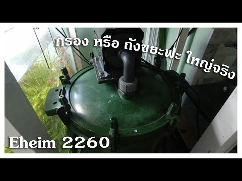 Eheim 2260 กรองใหญ่มากกกกกกก