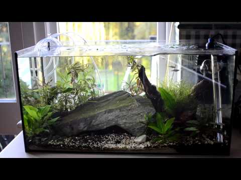 Eheim Aquastar 54L