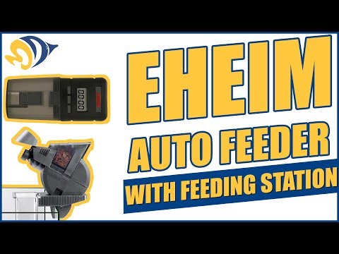 Eheim Auto Feeder with Feeding Station: What YOU Need to Know