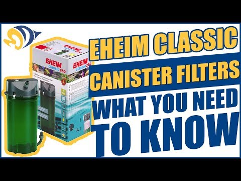 Eheim Classic Canister Filters: What YOU Need to Know
