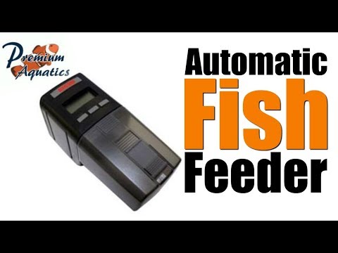 Eheim Everyday Fish Feeder Unboxing and Setup