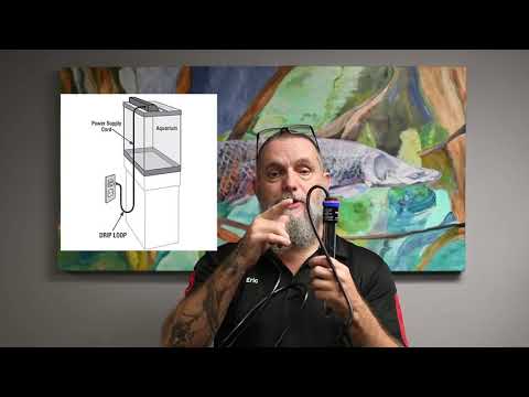 Eheim Heater Instructions and Calibration