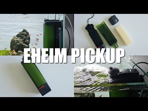Eheim Pickup 200 Hit czy Kit? Unboxing&Test