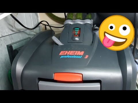 EHEIM PROFESIONAL 3 1200 XL (2080). Limpieza y mantenimiento tras 4 meses.