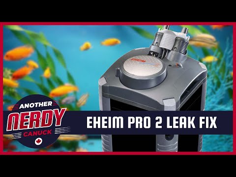 Eheim Professional II 2028 Leak Fix by replacing O-rings