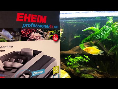 Eheim Professionel 4+ 600 – Review und Aufbau Part 1/2