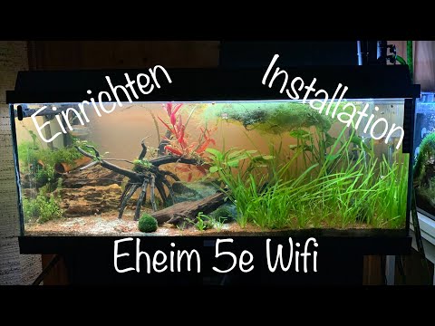 Eheim Professionel 5e Wifi | Installation | Umgestaltung 180l Teil 4