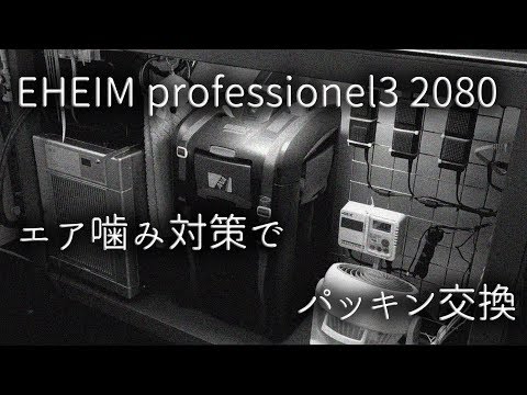 EHEIM professionel3 2080パッキン交換