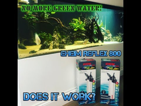 EHEIM Reflex UV review, Does it really work and is it worth the price!!
