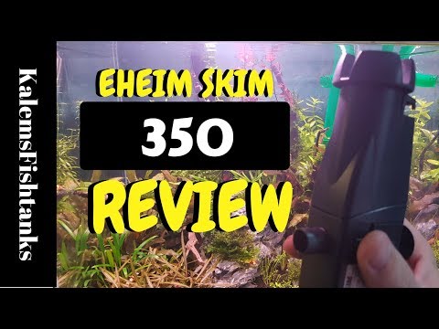 EHEIM Skim 350 Full REVIEW