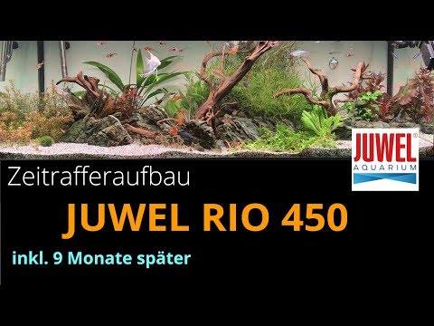 Einrichten Juwel RIO 450 Aquarium – Zeitraffer