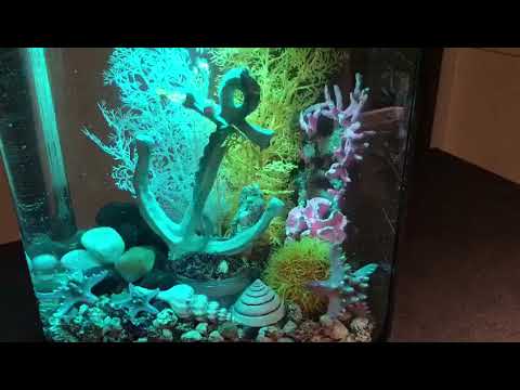 engerichtetes biOrb MCR Aquarium