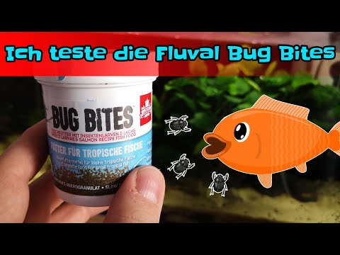 Ep. 14 – Ich teste die Fluval Bug Bites