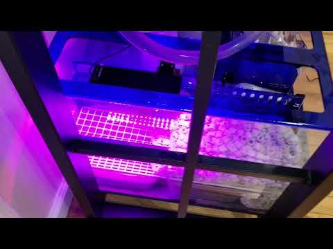 Ep9: Innovative Marine 2-n-1 ChaetoMax/Miracle Mud