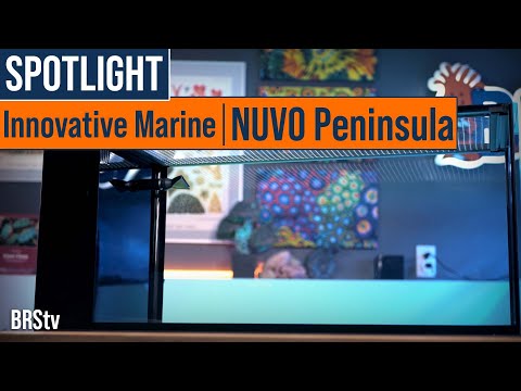 Eye Catching & Flexible Reef Tanks! Innovative Marine NUVO Peninsula Pro Aquariums