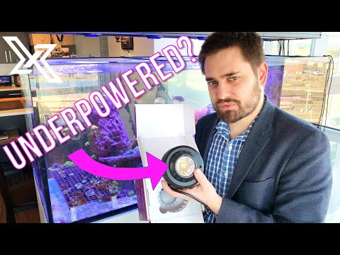 ? Kessil A360X Refugium Light Review