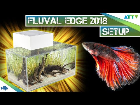 ?Designeraquarium einrichten! – Fluval Edge 2.0 2018 // AquaTerraTV