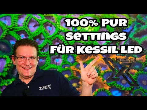 ? Das richtige Licht in der Meerwasser Aquaristik ? 100% PUR Settings KESSIL LED Lampen ?