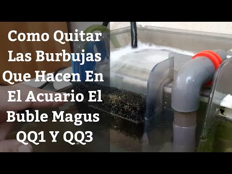 ? Como Quitar Las Burbujas Que Hace En El Acuario El Skimmer Buble Magus QQ3/QQ1 (Acuarios MB)