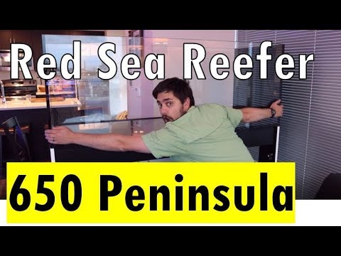 ? Red Sea Reefer Peninsula 650 Review Summary