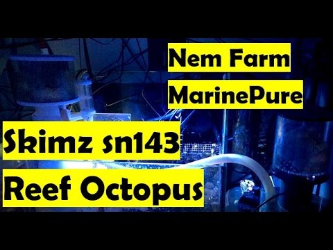 ? Nem Farm, MarinePure Balls, Skimz sn143, Reef Octopus