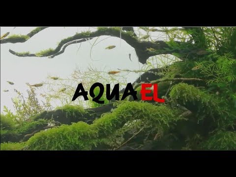 FASCINATING TECHNOLOGY – AQUAEL Promo video