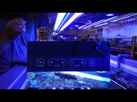 FaunaMarin – KESSIL AP700 LED Leuchte